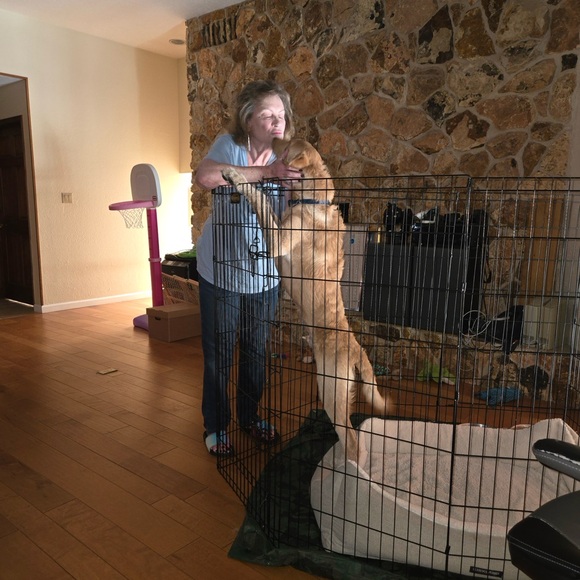 Meet your Posher, Clare - Picture 11 of 12